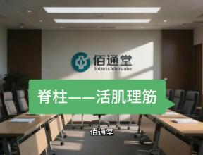 佰通堂·脊柱——活肌理筋修复系统